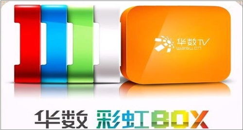 OTT浪潮中的隱形推手 新媒體技術(shù)服務(wù)商的角色與終端熱潮透視